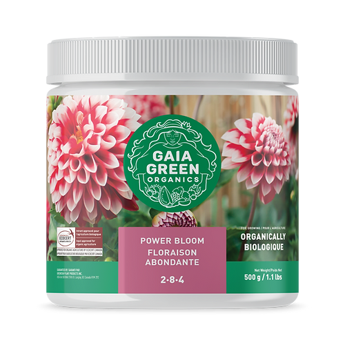 Gaia Green Power Bloom